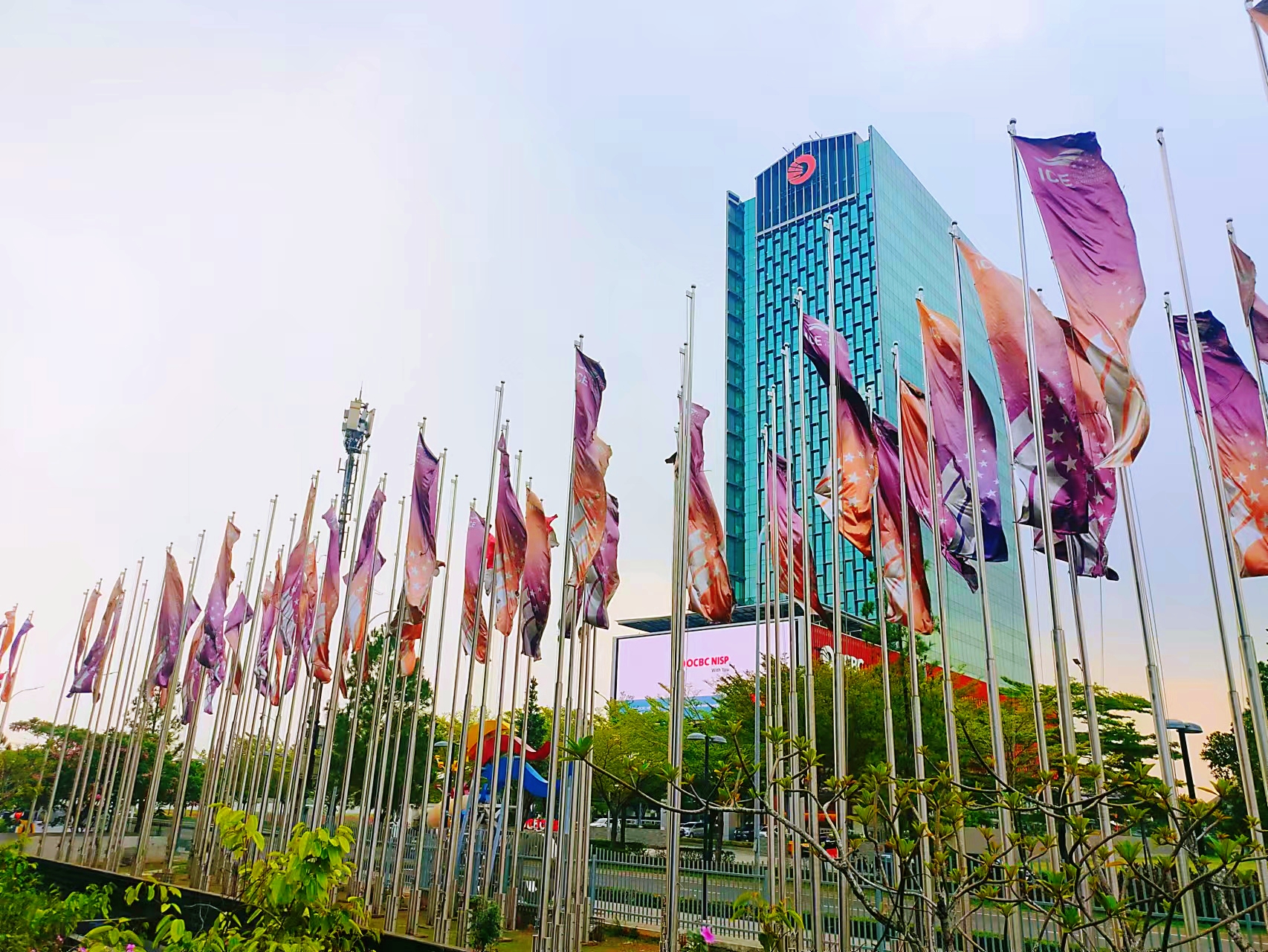 1699943639229501.jpg 11_副本.jpg